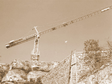 Grue_en_position_au_dessus_de_la_falaise